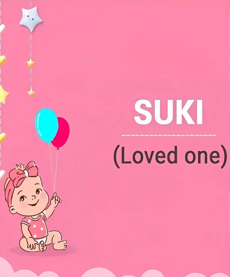 Meaning of Suki