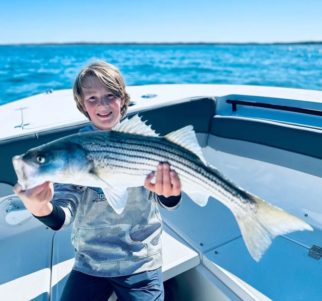 A young boy catch a Striped Bass at Cape Cod, Massachusetts