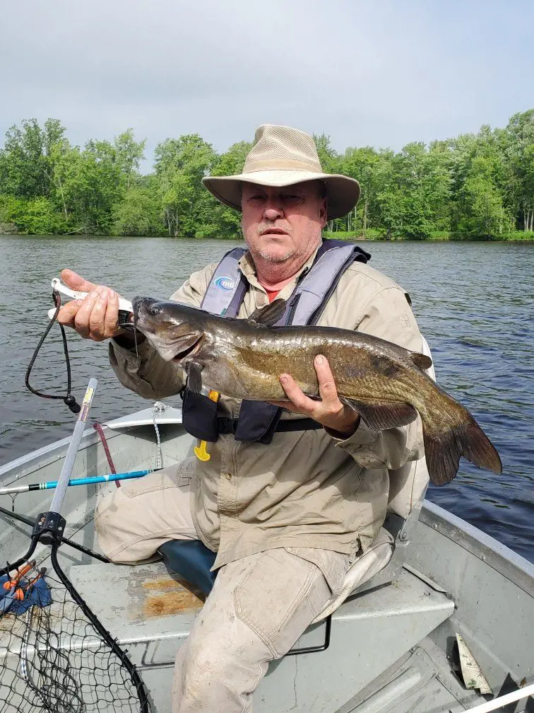 A middle aged man catch a Channel Catfish at Wisconsin River