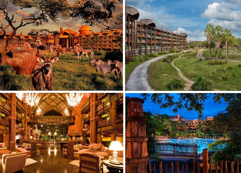 Disney's Animal Kingdom Lodge provides views of four lush savannas where over 200 animals live.