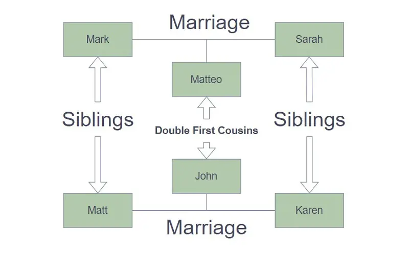 A chart showing the first cousin twice relationship between the two sets of siblings and their off springs. 
