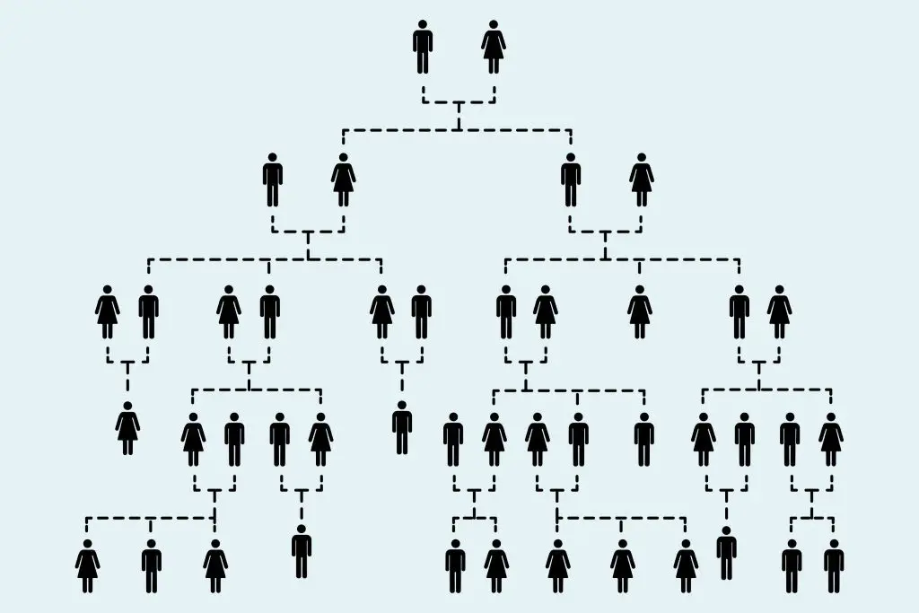 Chart showing how a family tree expands