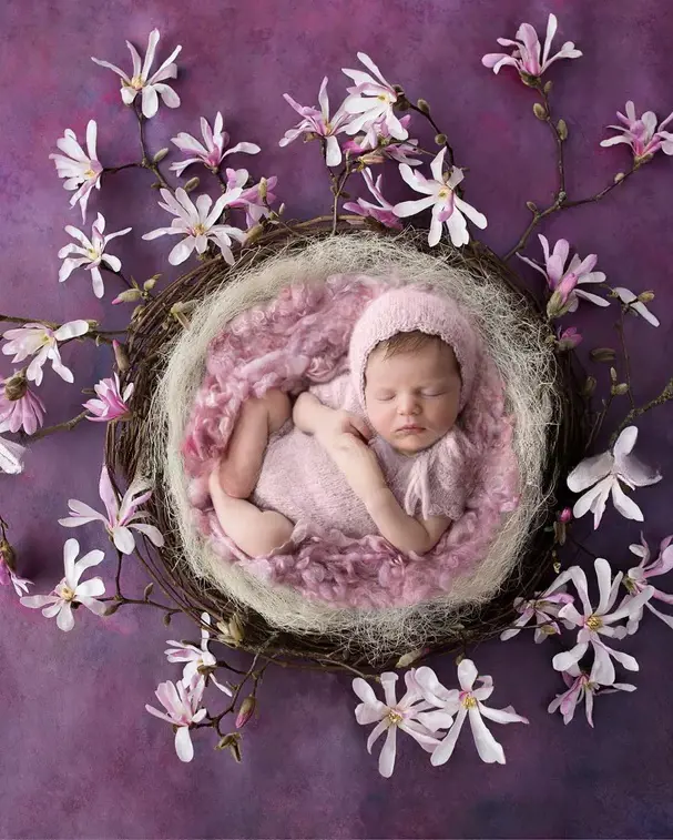 A charming rustic nest with a soft pink center embraced by blooming magnolia petals set against a textured purple backdrop
