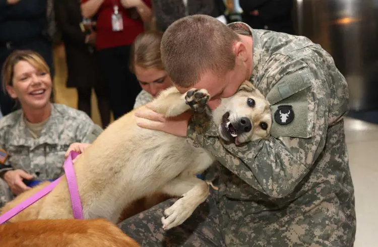 Man reunited with his dog after serving aboard