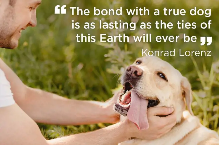Konrad Lorenz quote reflects the selfless bond between a human and canine
