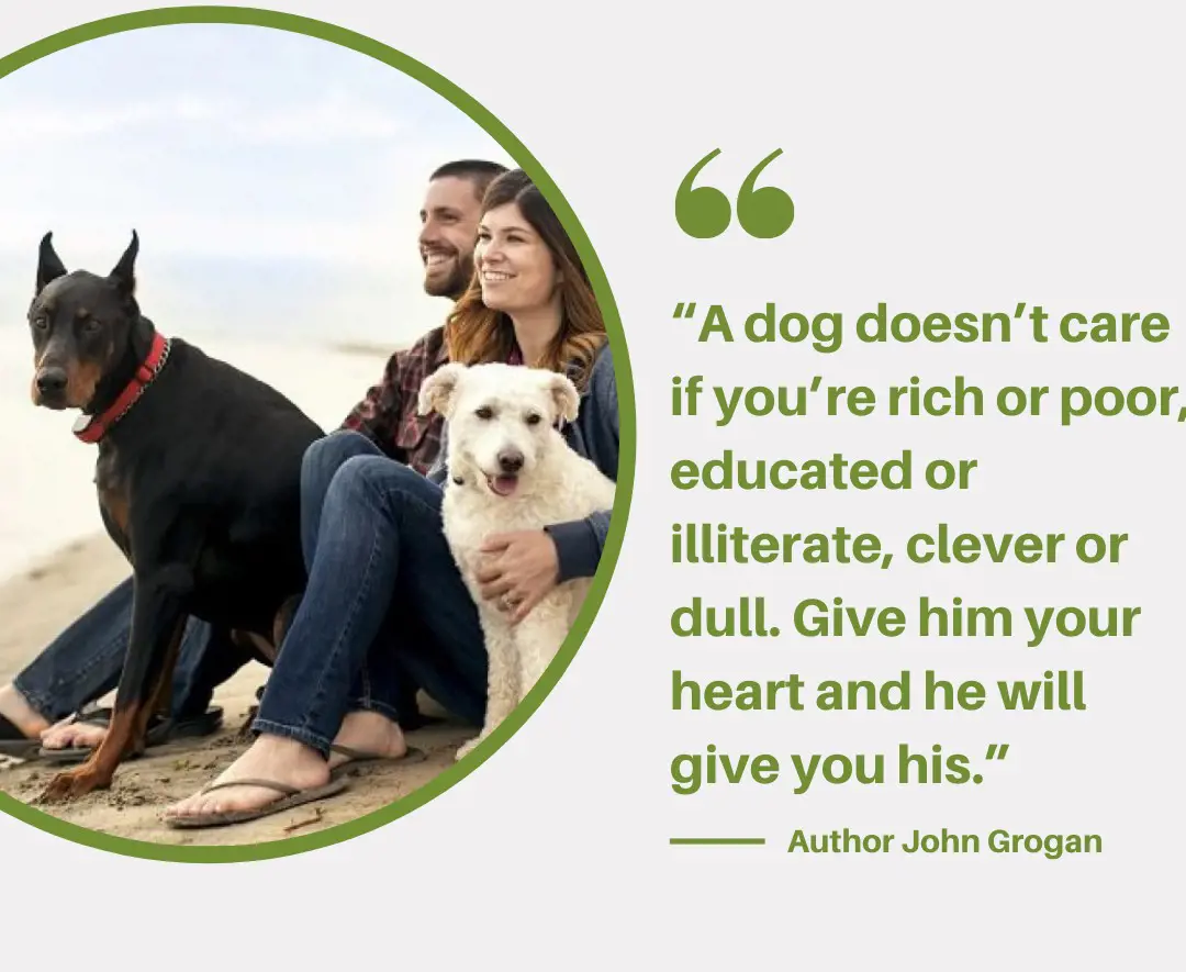 John Grogan on the beautiful friendship between canines and humans
