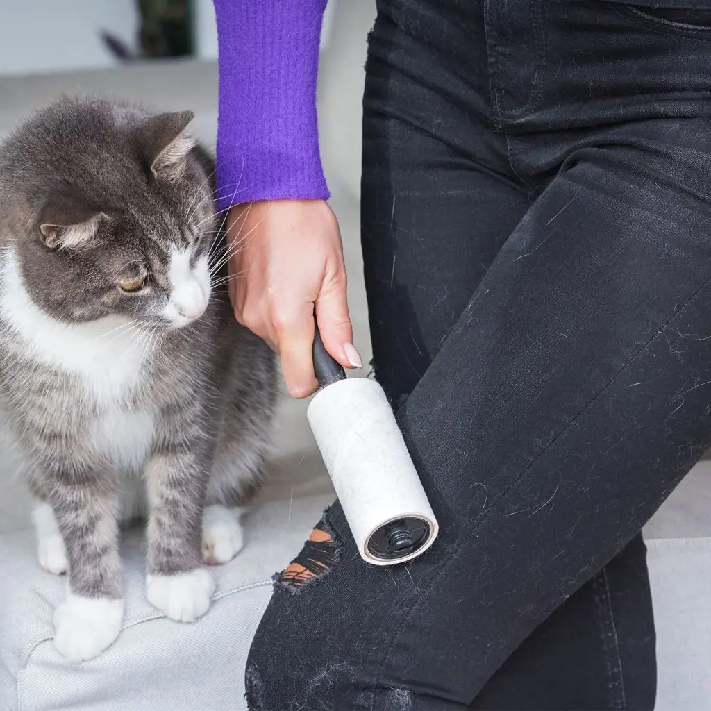 A woman using lint roller to remove the pet hair from fabric
