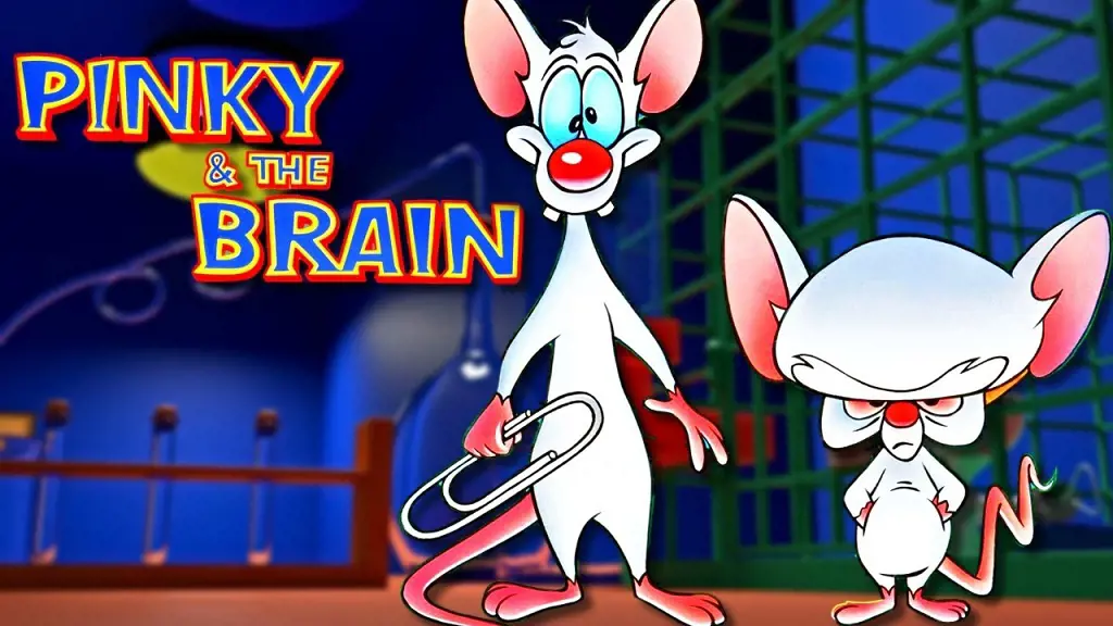 The poster of the kid show Pinky And The Brain