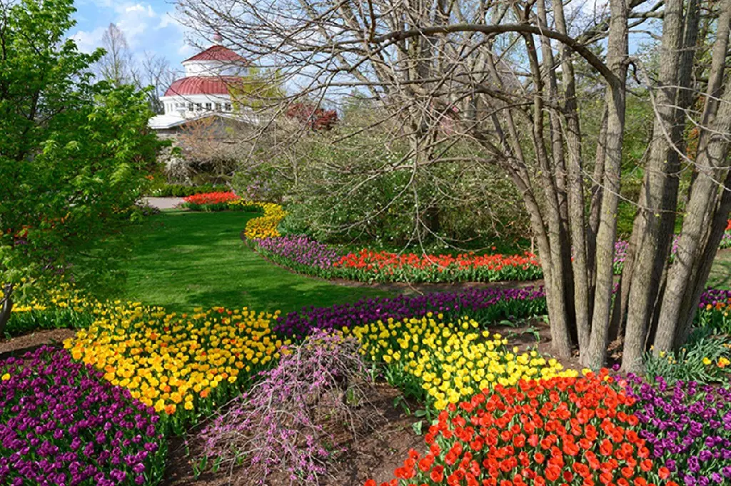 A Photo of the Cincinnati Zoo and Botanical Garden with the colorful flowers 