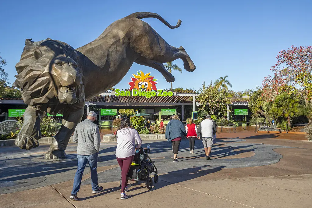 The entrance of the San Diego Zoo featuring the statue of lion