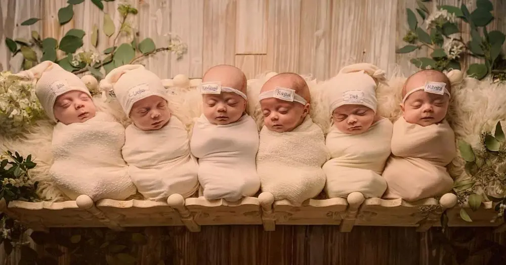 The sextuplets from the show Sweet Home Sextuplets look aborable wraped in a  beige coloredcloth after their birth  