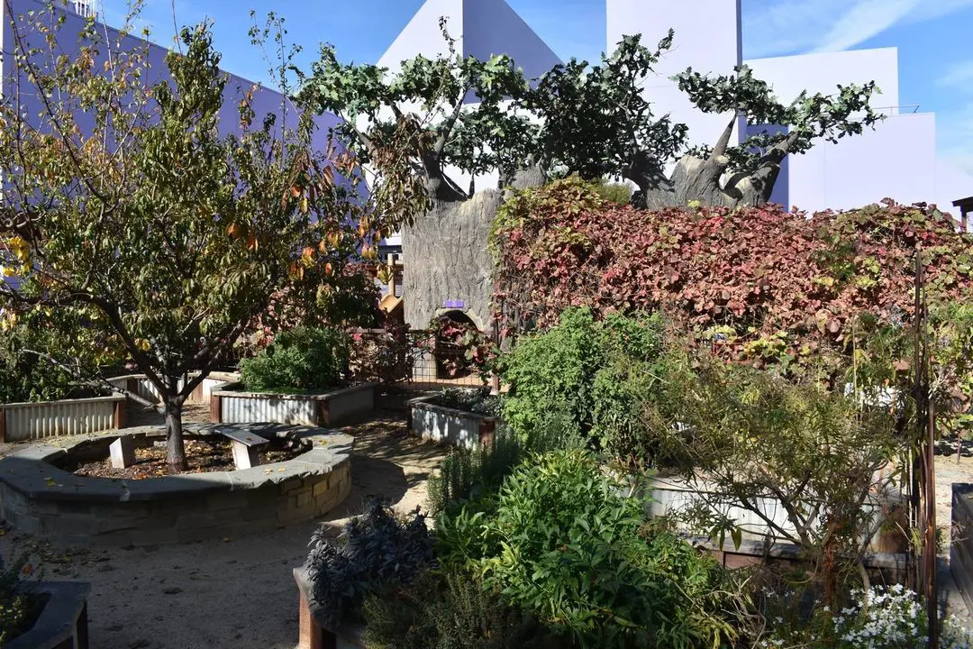 An image of Bill's Backyard at Children's Discovery Museum of San Jose